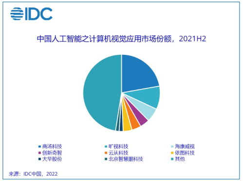 2021年人工智能應(yīng)用軟件開發(fā)市場(chǎng) 強(qiáng)勁增長(zhǎng)與技術(shù)革新